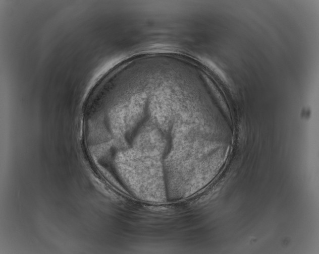 X0000090431413200708031119