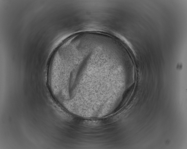 X0000090431415200708031119