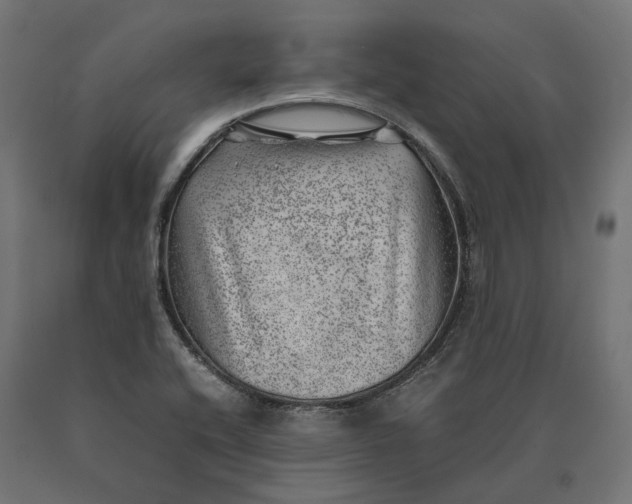 X0000090431416200708031119