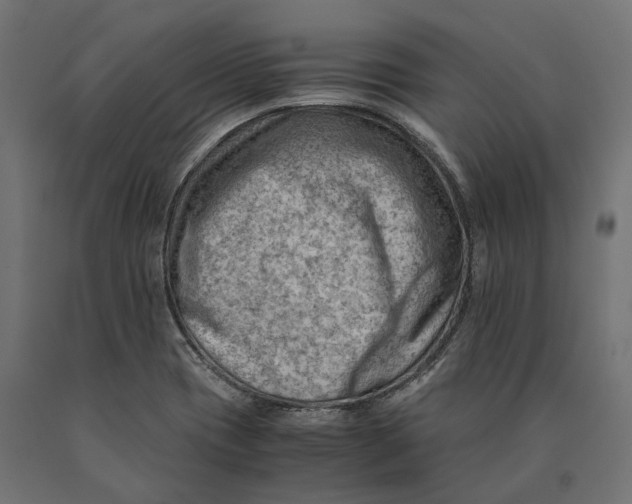 X0000090431417200708031119