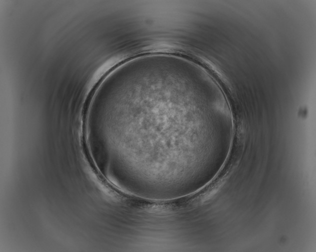 X0000090431418200708031119