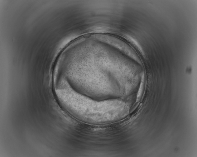 X0000090431419200708031119