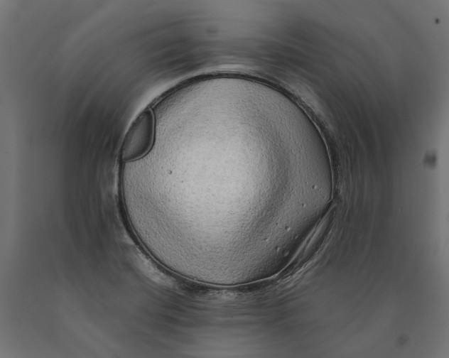 X0000090431420200708031119