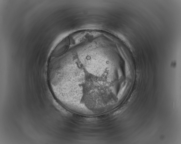 X0000090431421200708031119