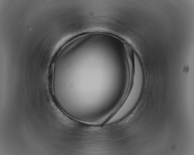 X0000090431422200708031119