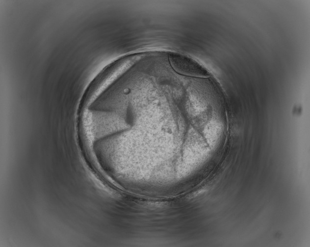 X0000090431423200708031119