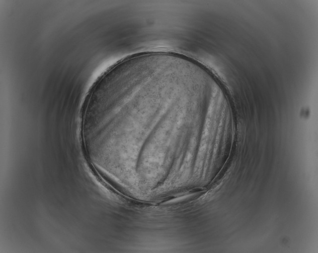 X0000090431424200708031119