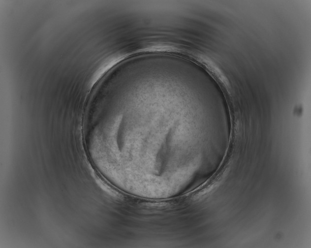 X0000090431425200708031119