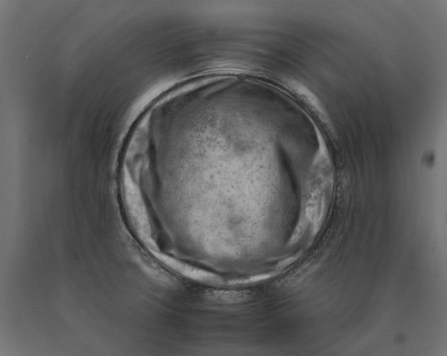 X0000090431427200708031119