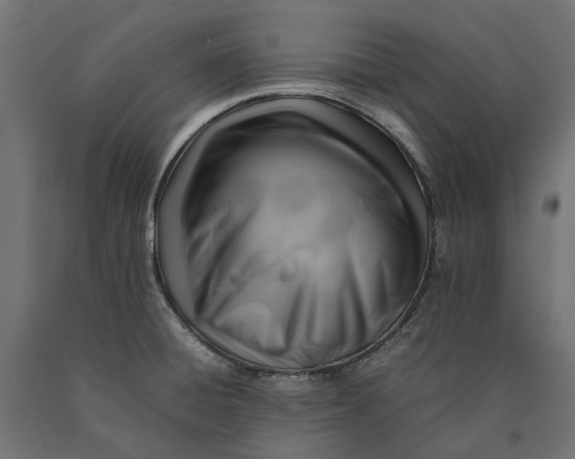 X0000090431428200708031119