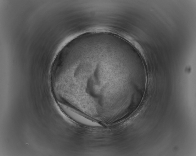 X0000090431429200708031119