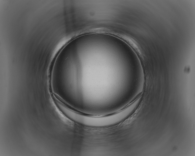 X0000090431430200708031119