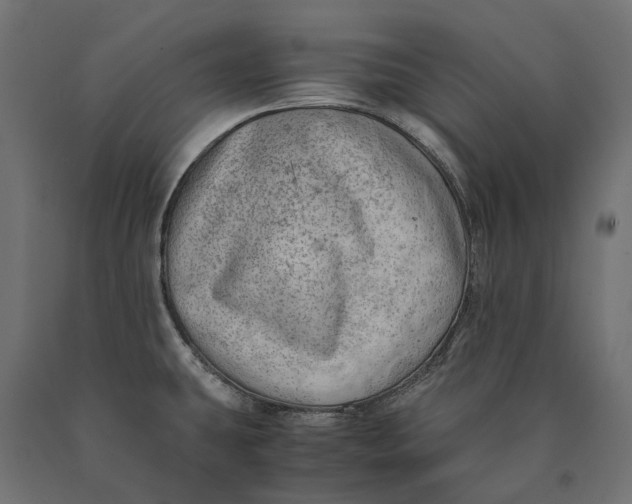 X0000090431431200708031119