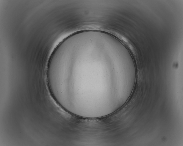 X0000090431432200708031119