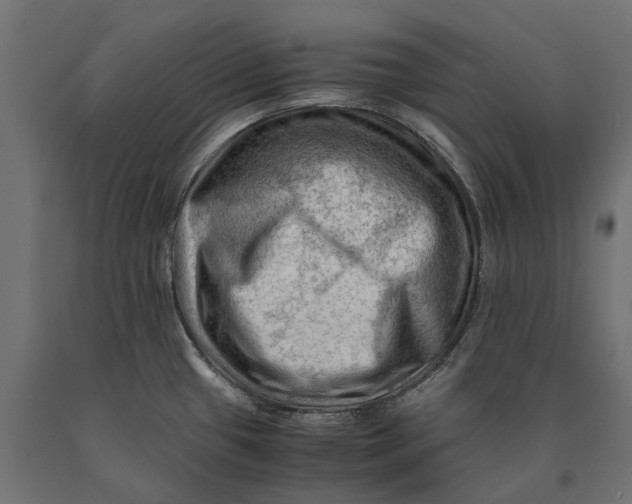 X0000090431433200708031119