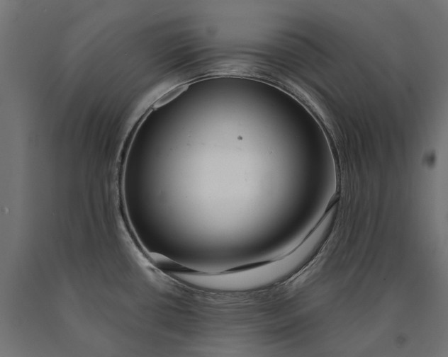 X0000090431434200708031119