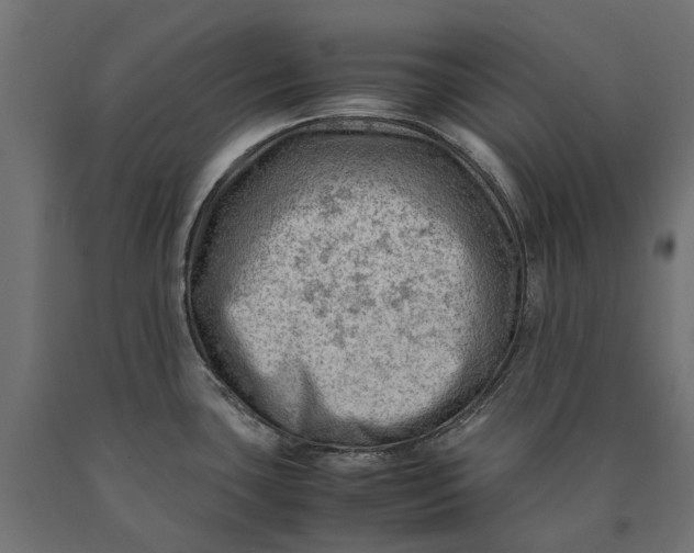 X0000090431435200708031119