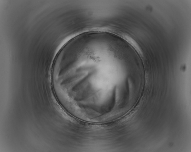 X0000090431436200708031119