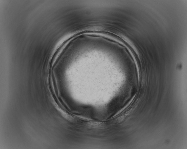 X0000090431437200708031119