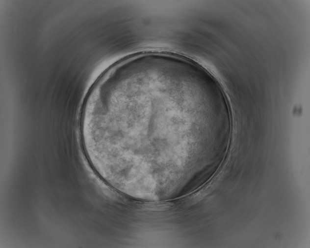 X0000090431440200708031119