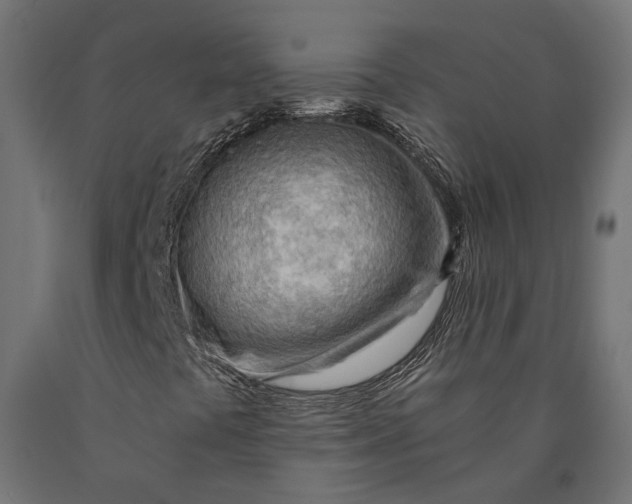 X0000090431441200708031118