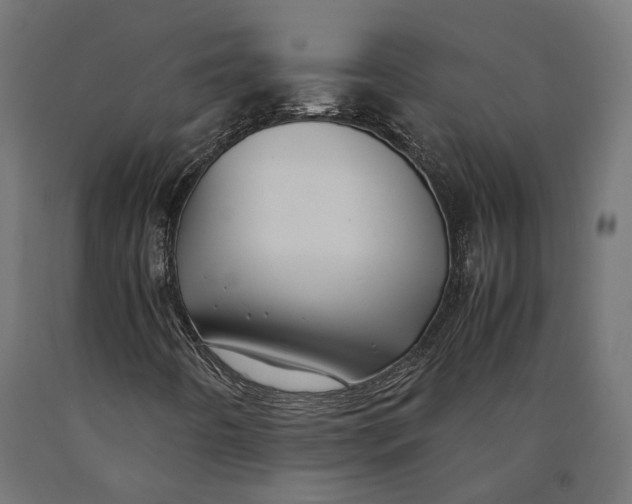 X0000090431442200708031118