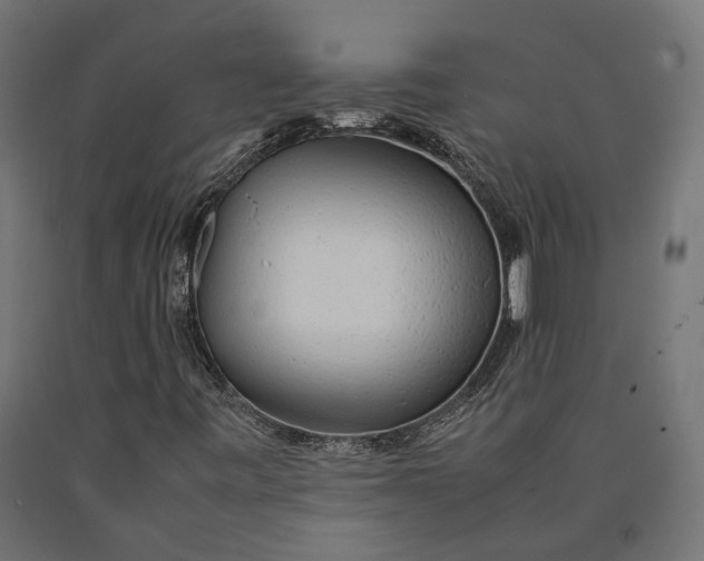 X0000090431443200708031118