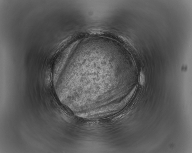 X0000090431444200708031118