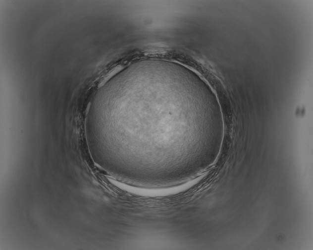 X0000090431445200708031118