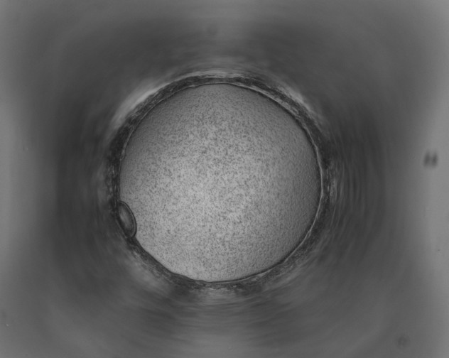 X0000090431448200708031118