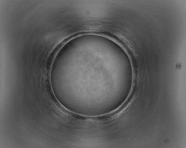 X0000090431449200708031118