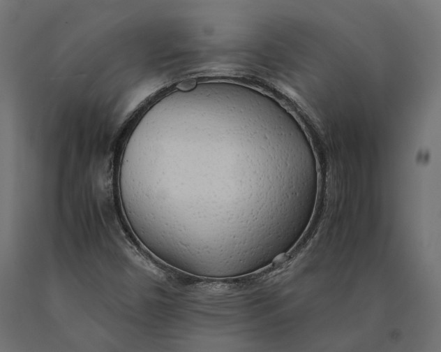 X0000090431450200708031118