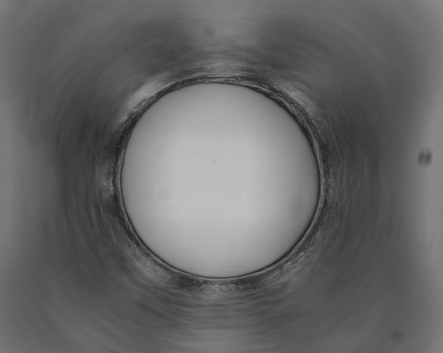 X0000090431451200708031118