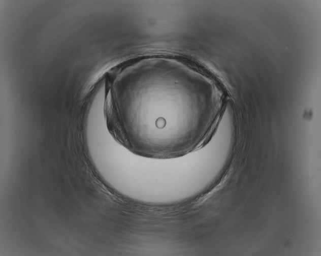 X0000090431453200708031118