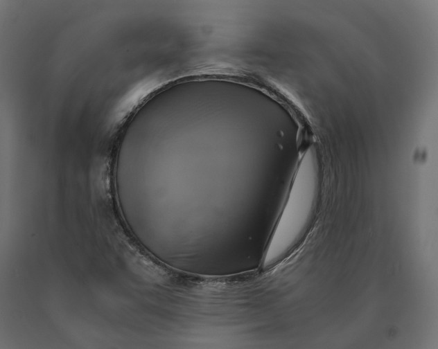 X0000090431455200708031118