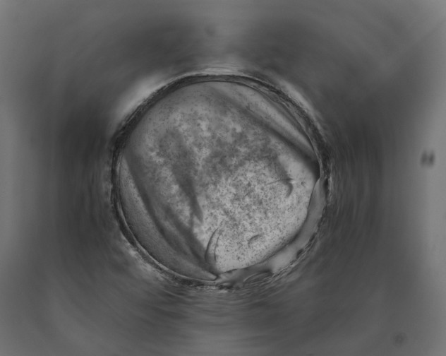 X0000090431456200708031118