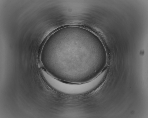 X0000090431457200708031118