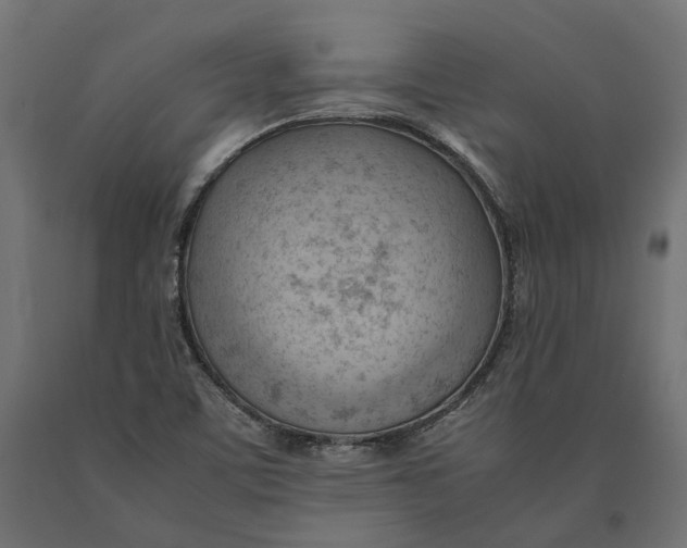 X0000090431459200708031118