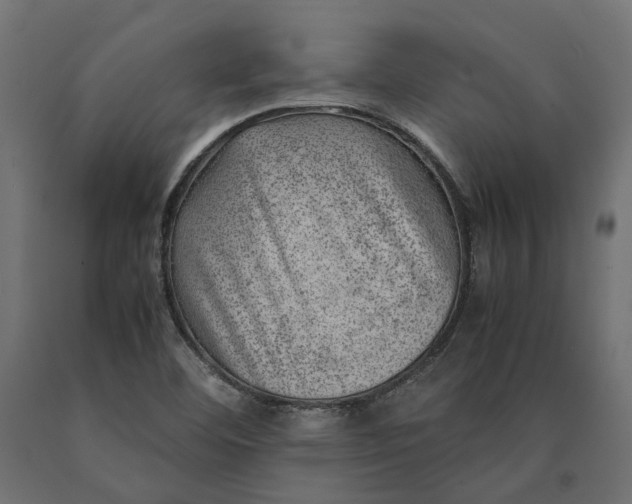 X0000090431460200708031118