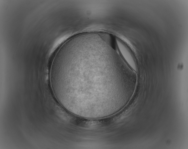 X0000090431461200708031118