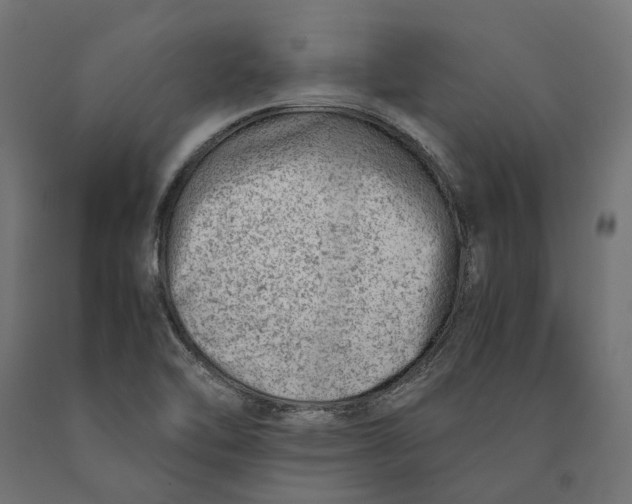 X0000090431462200708031118