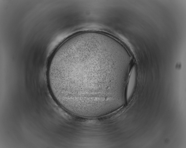 X0000090431464200708031118