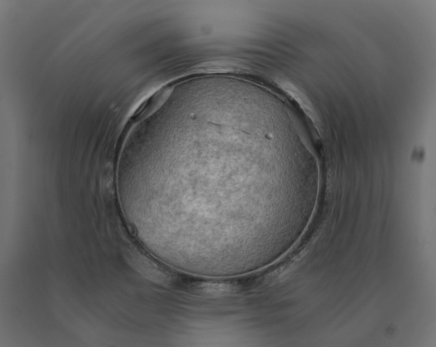 X0000090431465200708031118