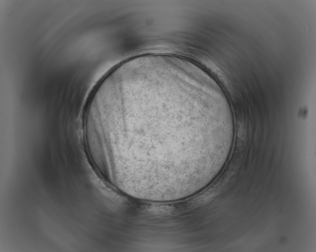 X0000090431466200708031118