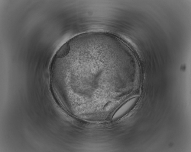 X0000090431467200708031118