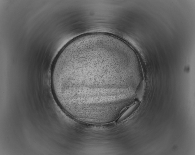 X0000090431468200708031118