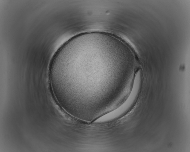 X0000090431469200708031118