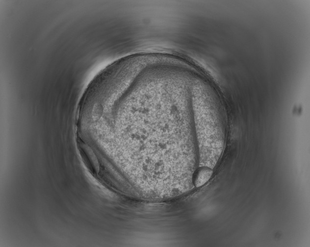 X0000090431471200708031118