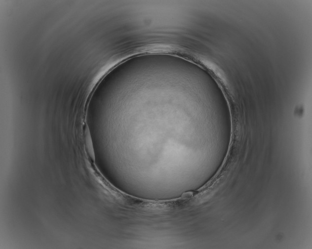 X0000090431473200708031118