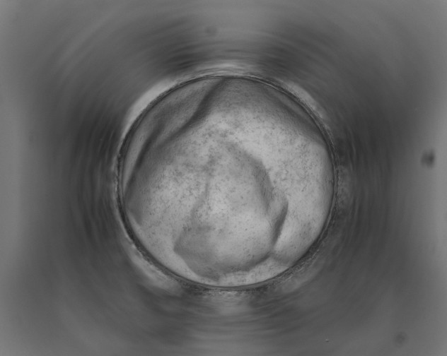 X0000090431474200708031118